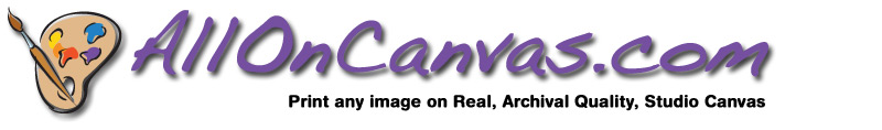 All On Canvas Header